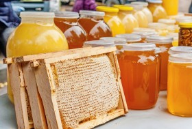 «Праздник мёда 2018» в Ташкенте