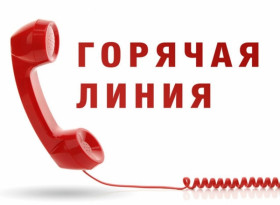 В юридическом бюро Краснодарского края открыта горячая линия для консультаций