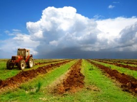 Земли сельхозназначения возьмут в оборот