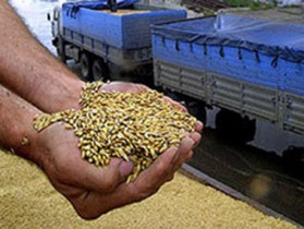 Ограничительные пошлины на экспорт зерна могут ввести весной