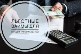 Более 60 миллионов рублей льготных займов получили предприниматели Новороссийска в 2022 году