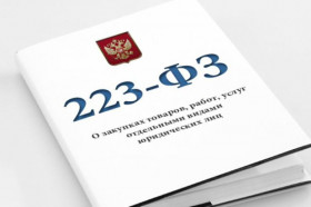 «Закупки 223-ФЗ: изменения 2020, электронные процедуры, актуальная правоприменительная практика»