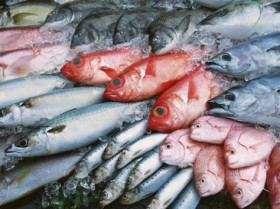 Поставщики рыбной продукции из Узбекистана ищут деловых партнеров!