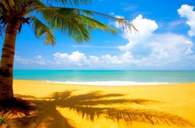 Солнце… Море… Пляжи… Отличные цены!