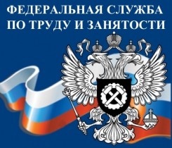 Роструд с начала года защитил права 1,5 млн работников