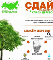 В Краснодарском крае стартовал эко-марафон «Сдай макулатуру – спаси дерево»