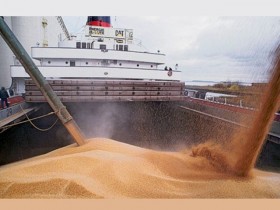 Экспорт зерна через порты