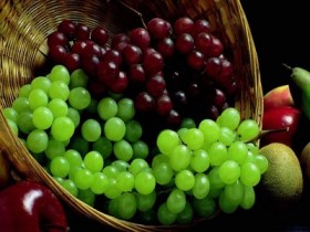 Виноградарям Краснодарского края выделят 100 земельных участков в 2015 году