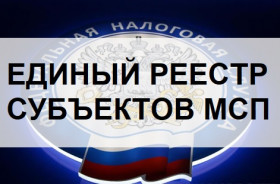 Приближается срок формирования Единого реестра субъектов малого и среднего предпринимательства