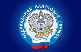 ФНС списала бизнесу налоги на сумму 294 млрд руб.