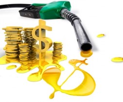 Минэнерго: В 2013 году в России цены на топливо вырастут на 13-14%