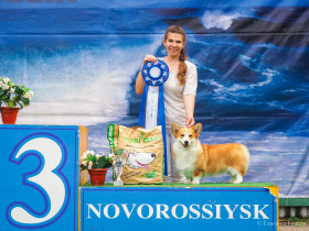 Новости членов НТПП: В Абрау-Дюрсо пройдет всероссийская выставка собак Dog Picnic