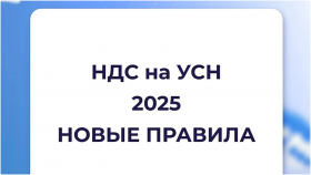 Президент подписал закон о повышении ставки НДС, пересмотре порога доходов по УСН и других поправках