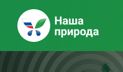 Российский экологический интернет-портал позволит сообщить и проконтролировать ликвидацию экопроблем